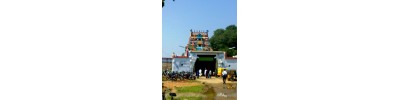 திருவேங்கைவாசல்